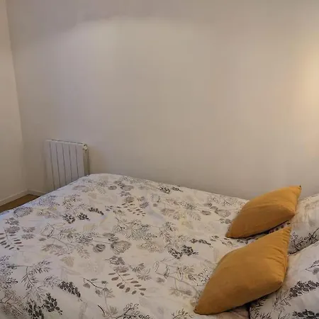 Apartment De Charme Au Coeur De La Vieille Nancy